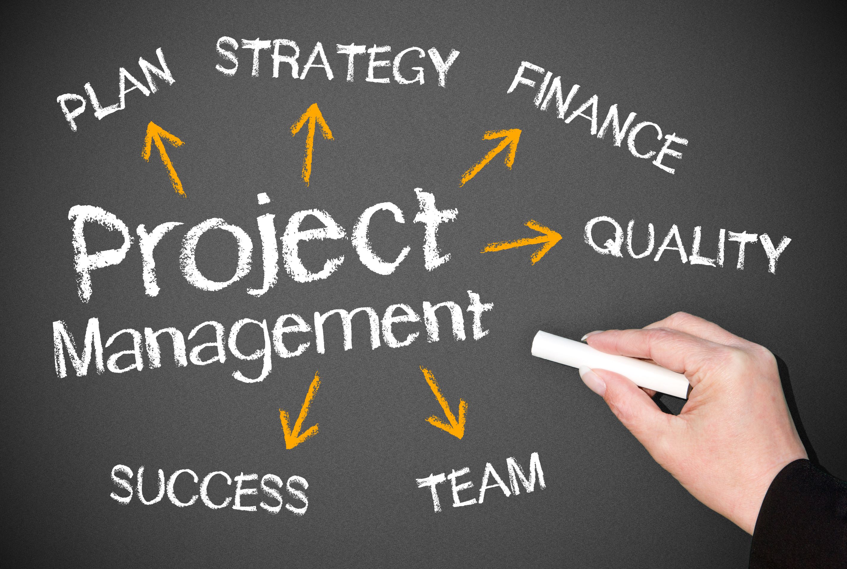 Multidiscipline project management team